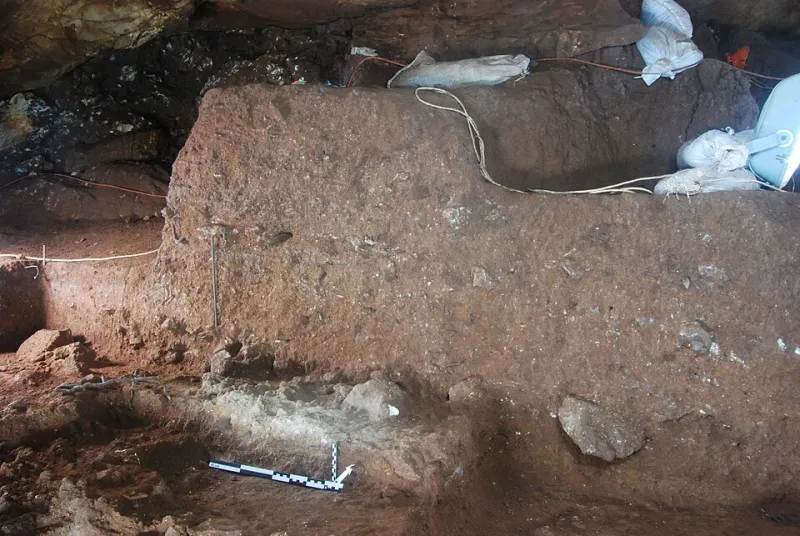Embers of Intelligence: What Ancient Hearths Reveal About the Minds That Built Them
