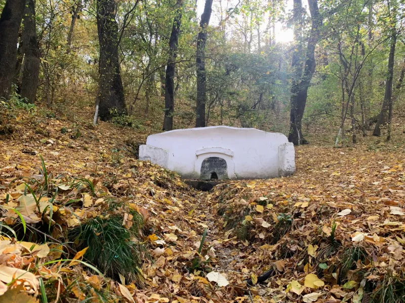 Deliberately Hidden, Permanently Lost? The Archaeological Search for America's Underground Railroad