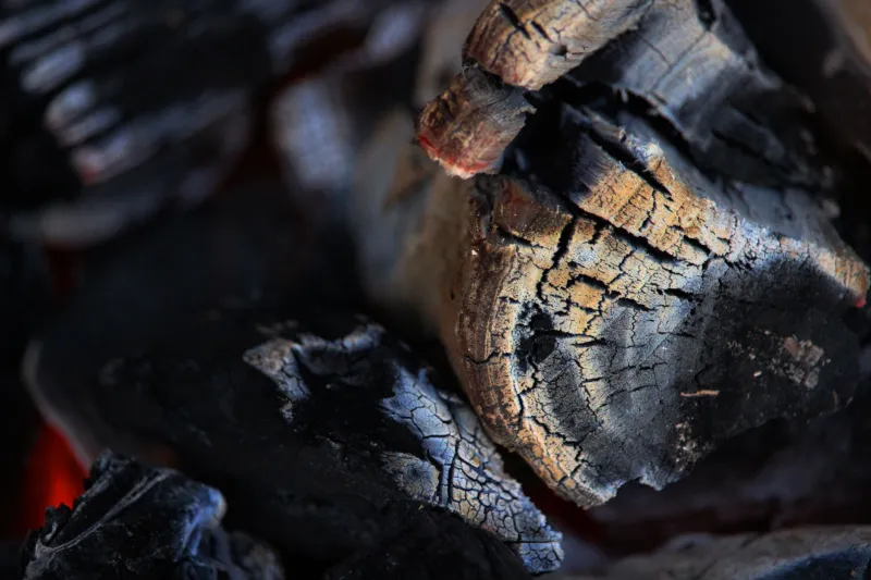Beneath the Smoke: What Centuries-Old Coal Fires Are Teaching Archaeologists About Ancient Life