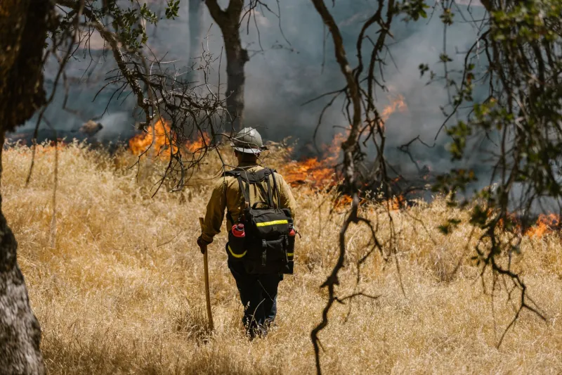 The Land Was Never Wild: Why Archaeology Is Vindicating Indigenous Fire Stewardship