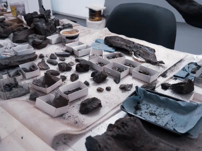 When the Shovel Hits History: What Homeowners Are Discovering Beneath America's Subdivisions